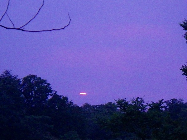 f:id:mannenNA:20210118204137j:plain