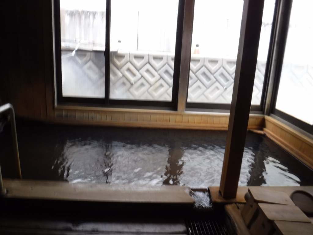 f:id:mannenNA:20210119202918j:plain