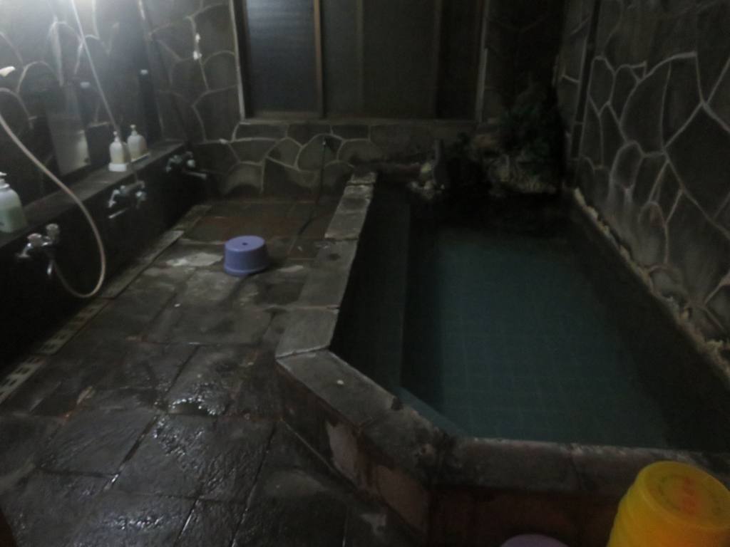 f:id:mannenNA:20210119204635j:plain