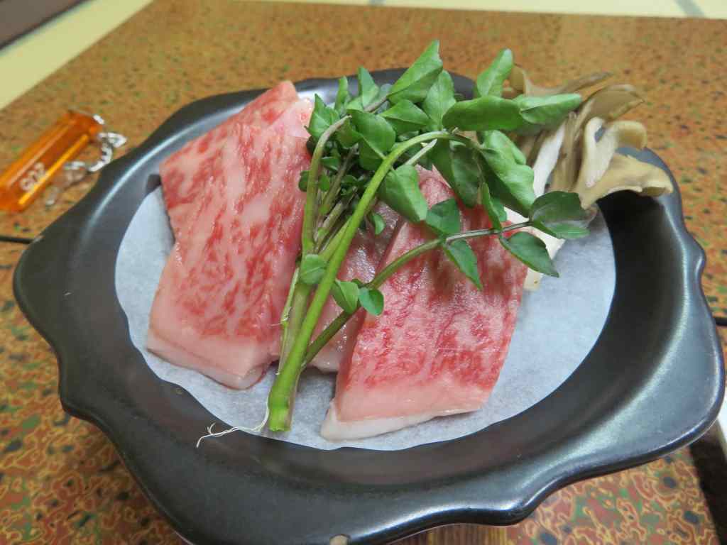 f:id:mannenNA:20210119212607j:plain