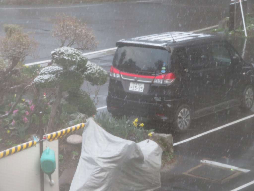 f:id:mannenNA:20210120195843j:plain