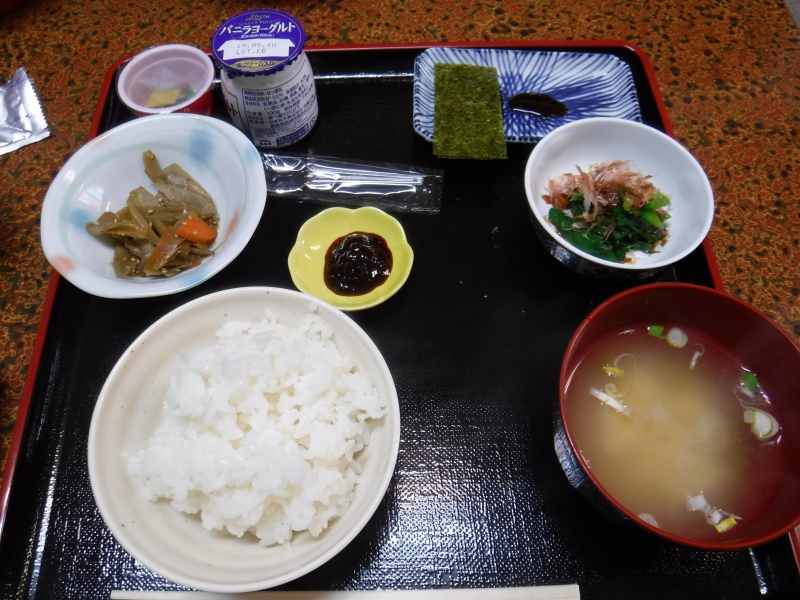 f:id:mannenNA:20210120200025j:plain