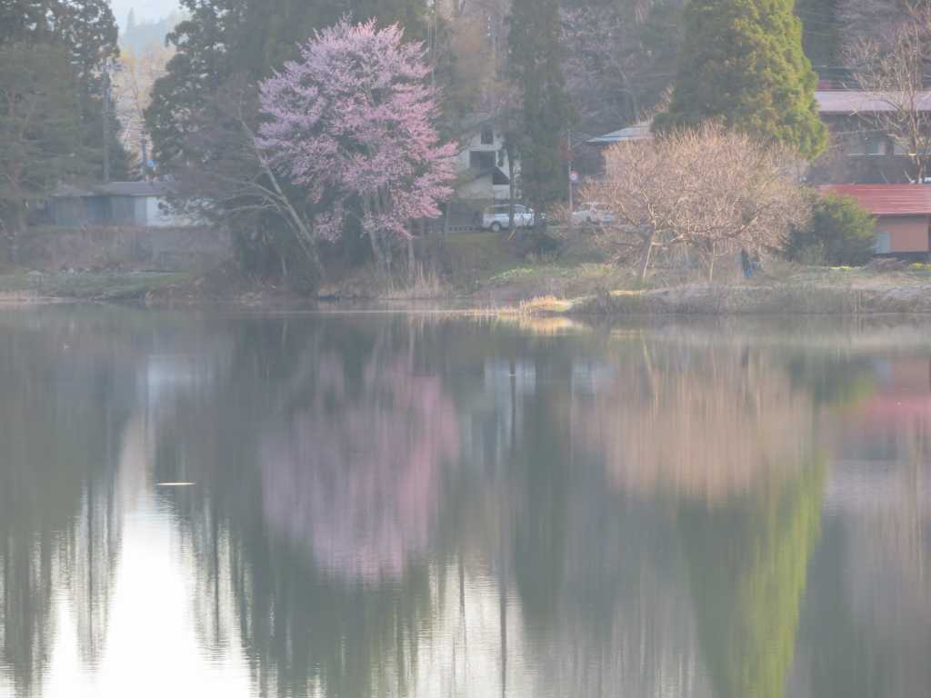 f:id:mannenNA:20210120200458j:plain