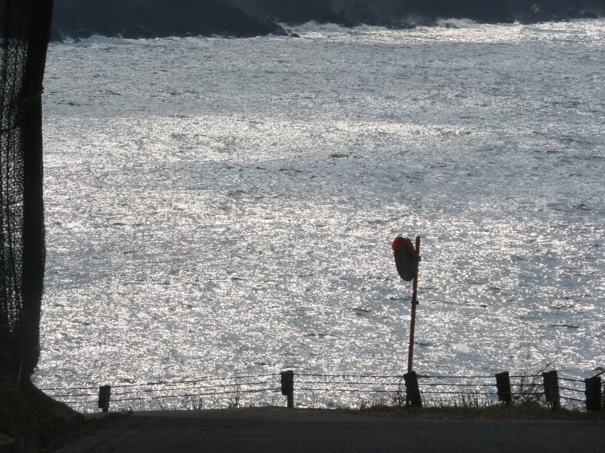 f:id:mannenNA:20210131173344j:plain