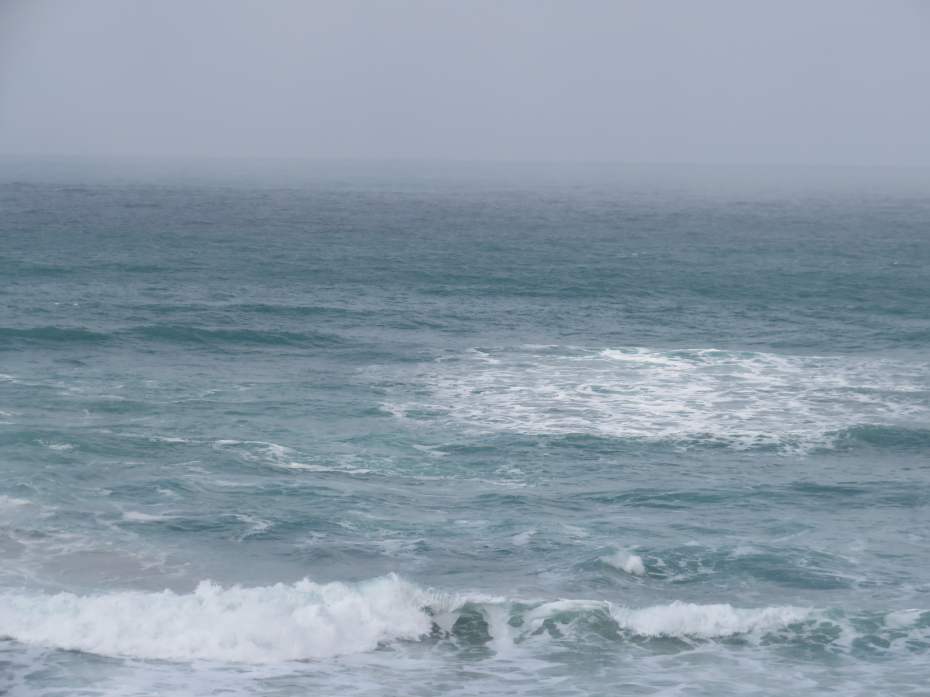 f:id:mannenNA:20210202173015j:plain