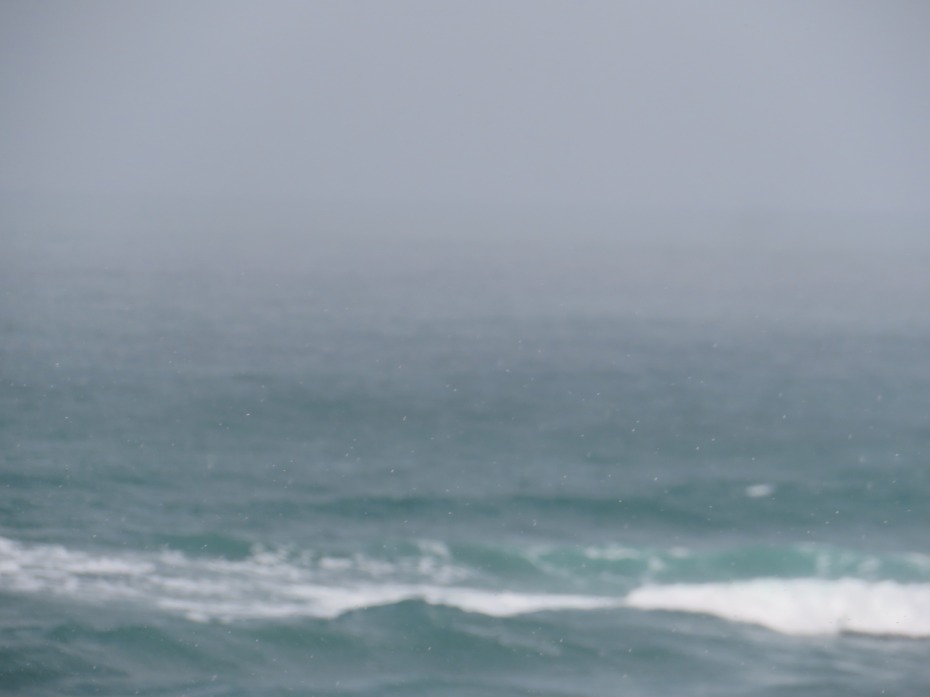 f:id:mannenNA:20210202173028j:plain