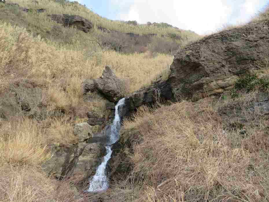 f:id:mannenNA:20210205214201j:plain