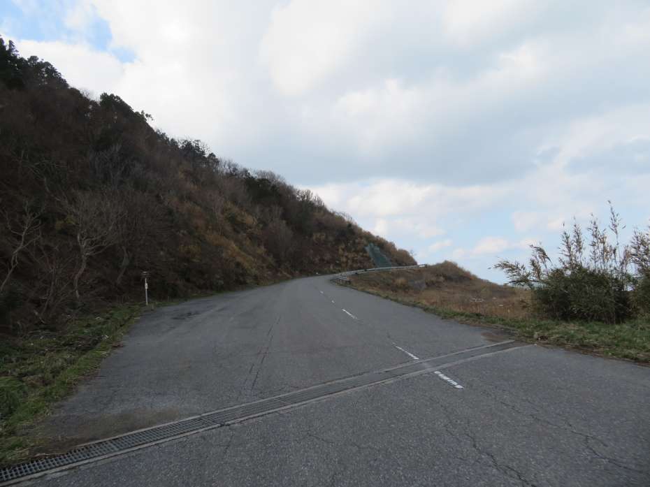 f:id:mannenNA:20210205214618j:plain