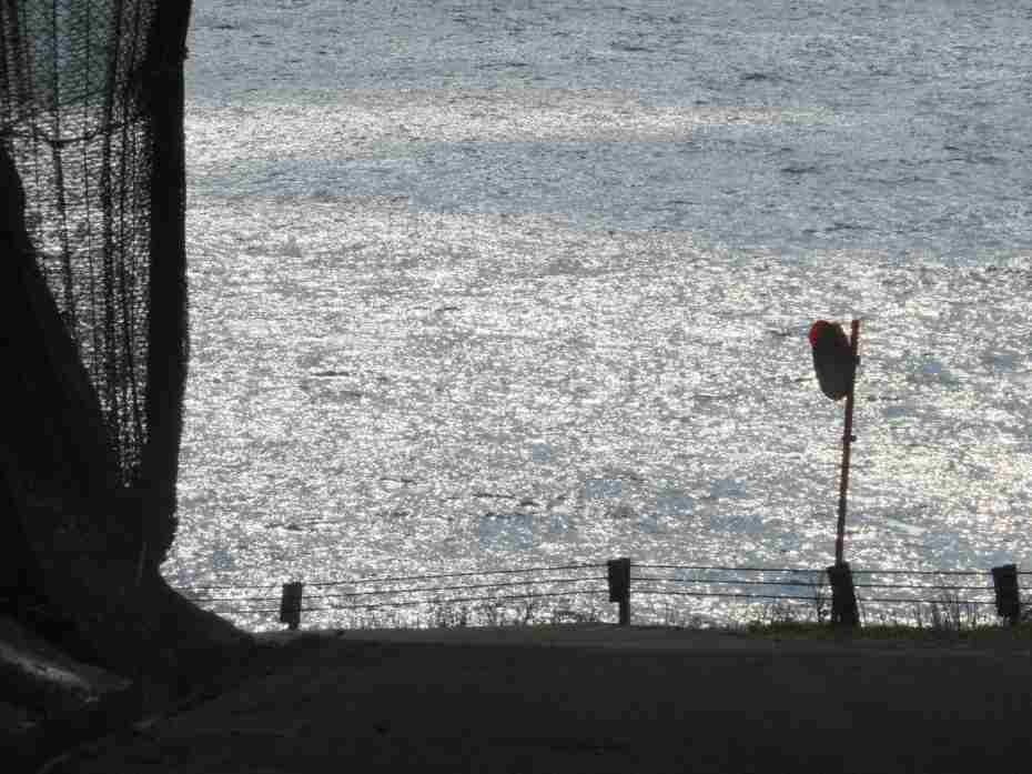 f:id:mannenNA:20210205214735j:plain