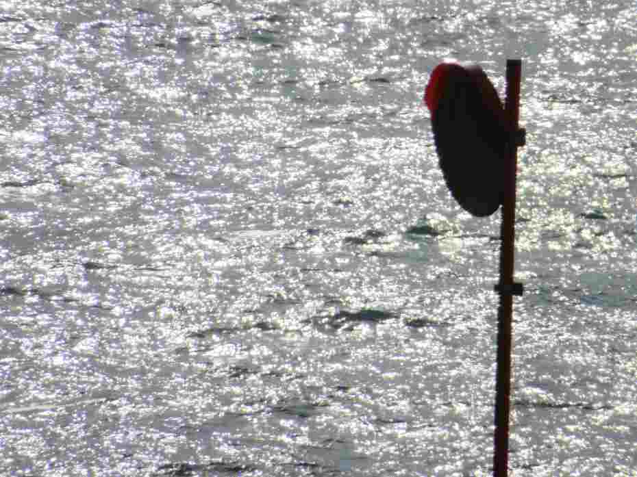 f:id:mannenNA:20210205214755j:plain