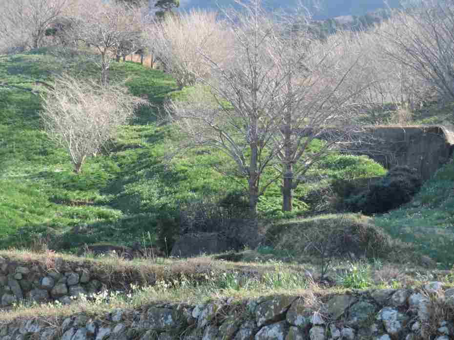 f:id:mannenNA:20210217201231j:plain