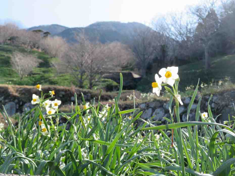 f:id:mannenNA:20210217201255j:plain