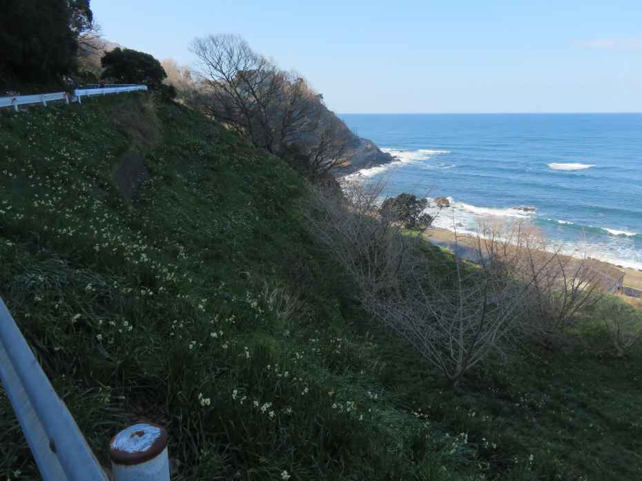 f:id:mannenNA:20210217201402j:plain