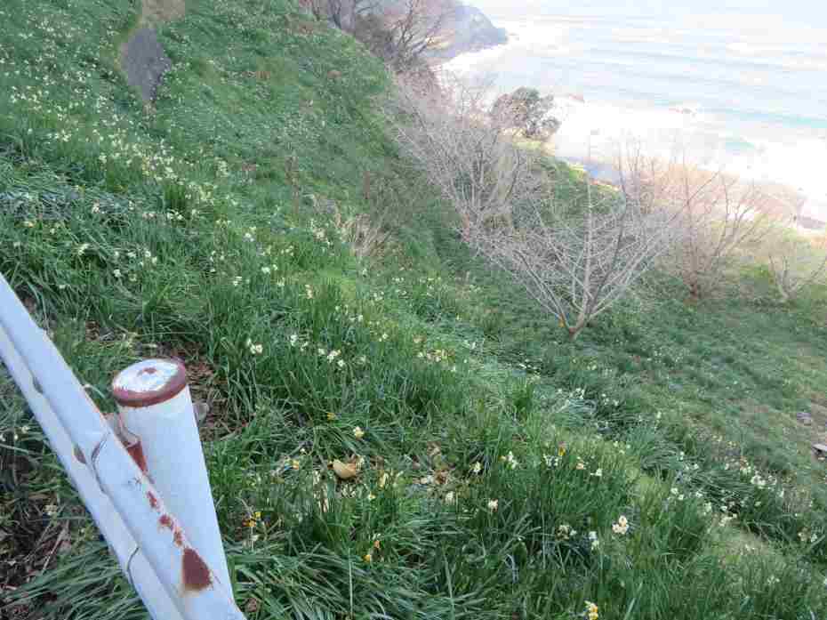 f:id:mannenNA:20210217201425j:plain