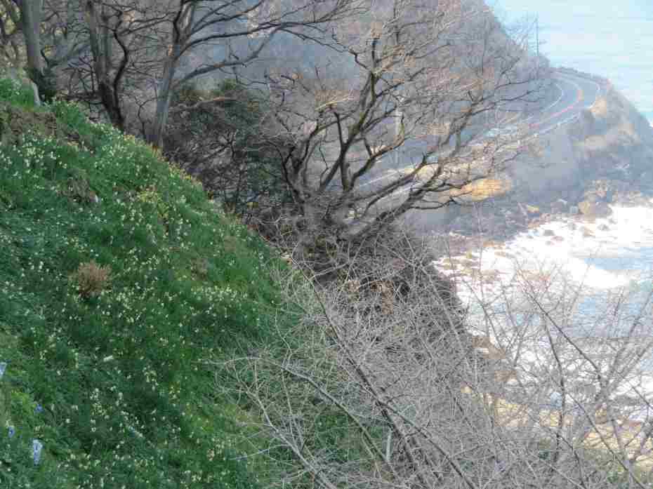 f:id:mannenNA:20210217201456j:plain