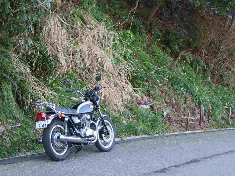 f:id:mannenNA:20210217201516j:plain