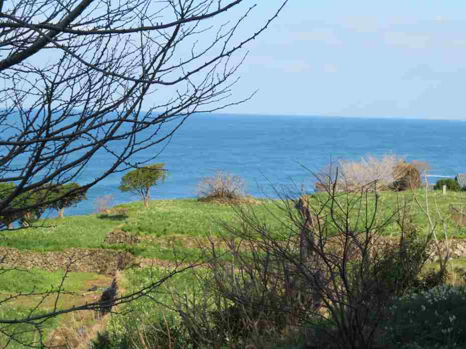 f:id:mannenNA:20210217201535j:plain