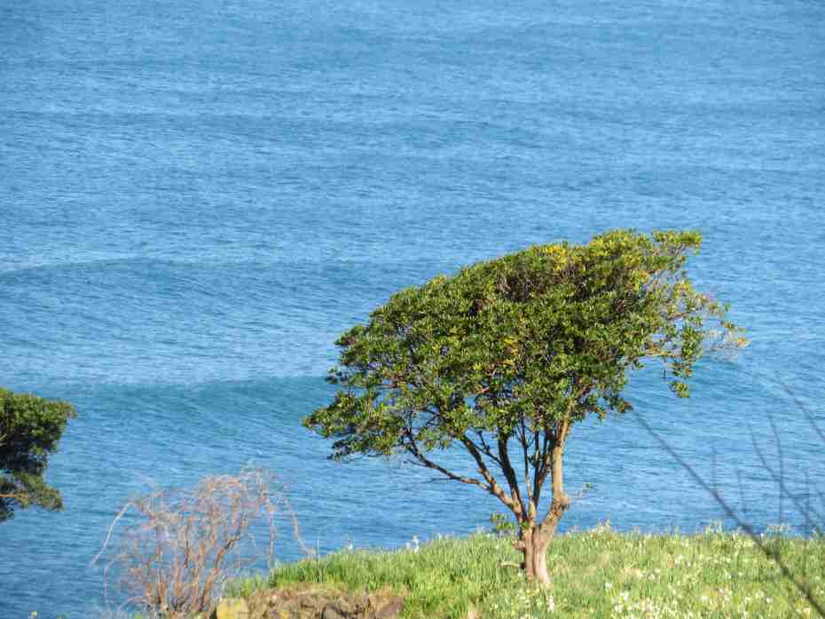 f:id:mannenNA:20210217201553j:plain