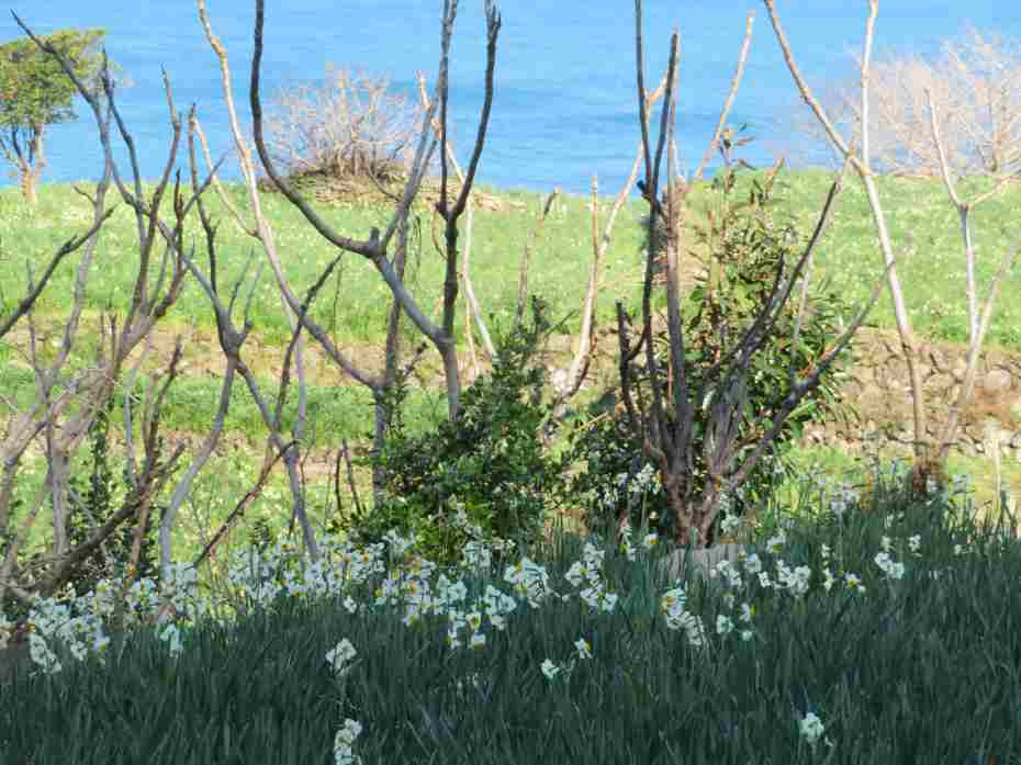 f:id:mannenNA:20210217201643j:plain