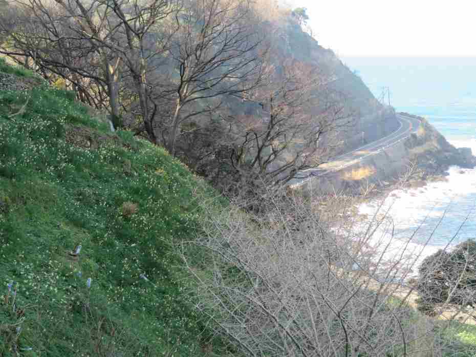 f:id:mannenNA:20210217201721j:plain