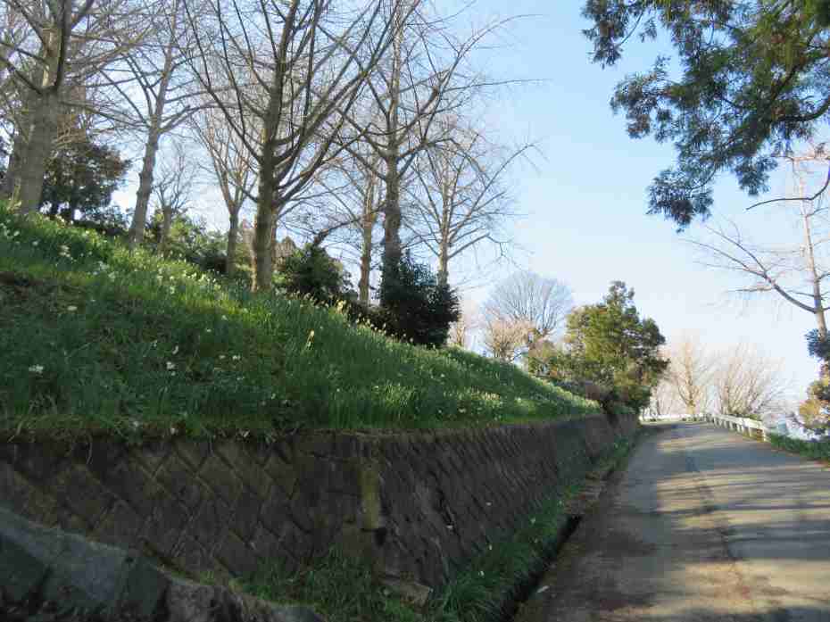 f:id:mannenNA:20210217201744j:plain