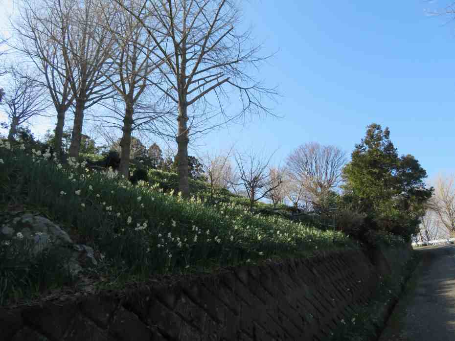 f:id:mannenNA:20210217201804j:plain