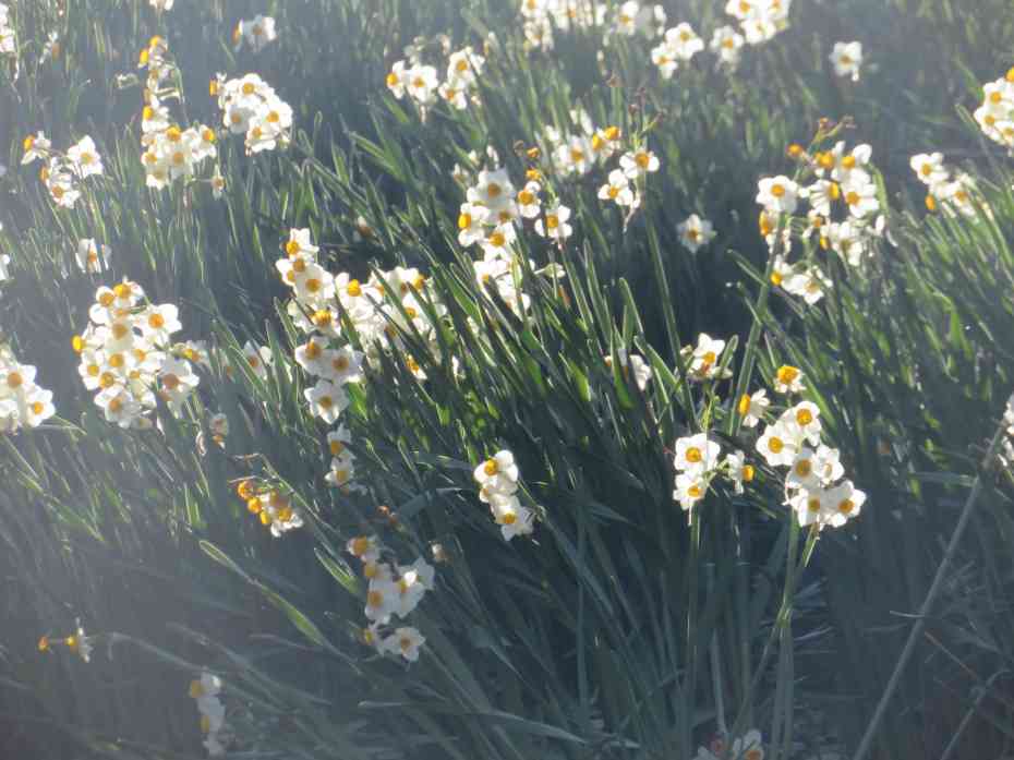 f:id:mannenNA:20210217201840j:plain