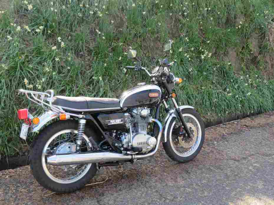 f:id:mannenNA:20210217202010j:plain