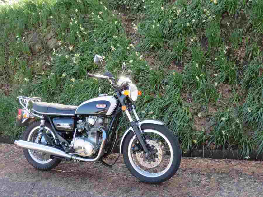 f:id:mannenNA:20210218201328j:plain