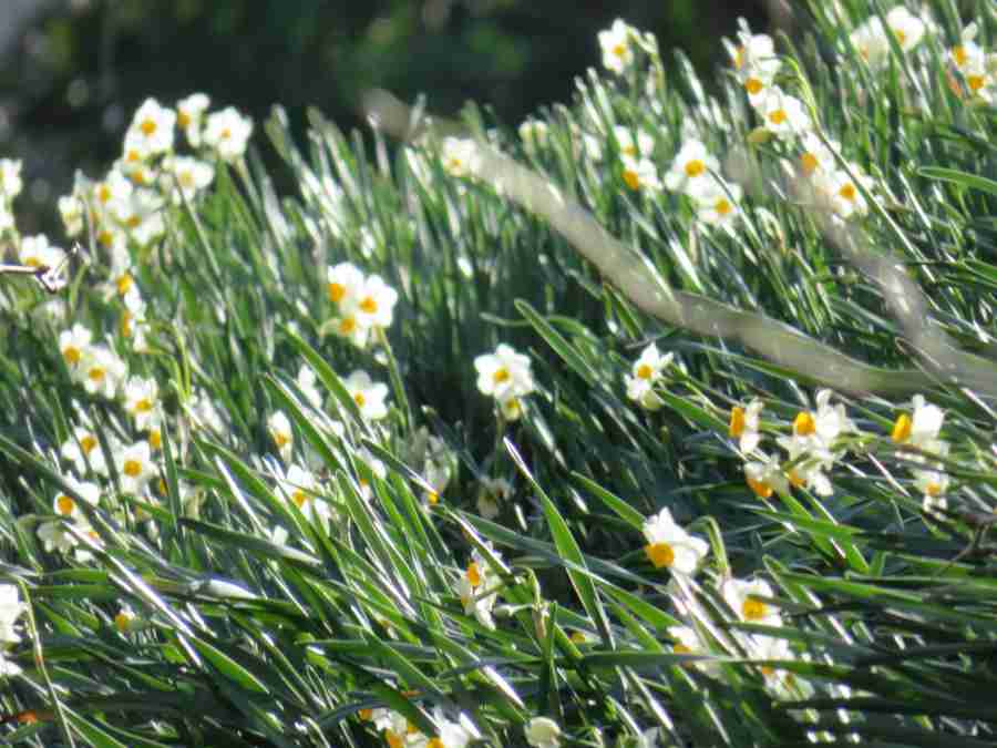 f:id:mannenNA:20210218201407j:plain