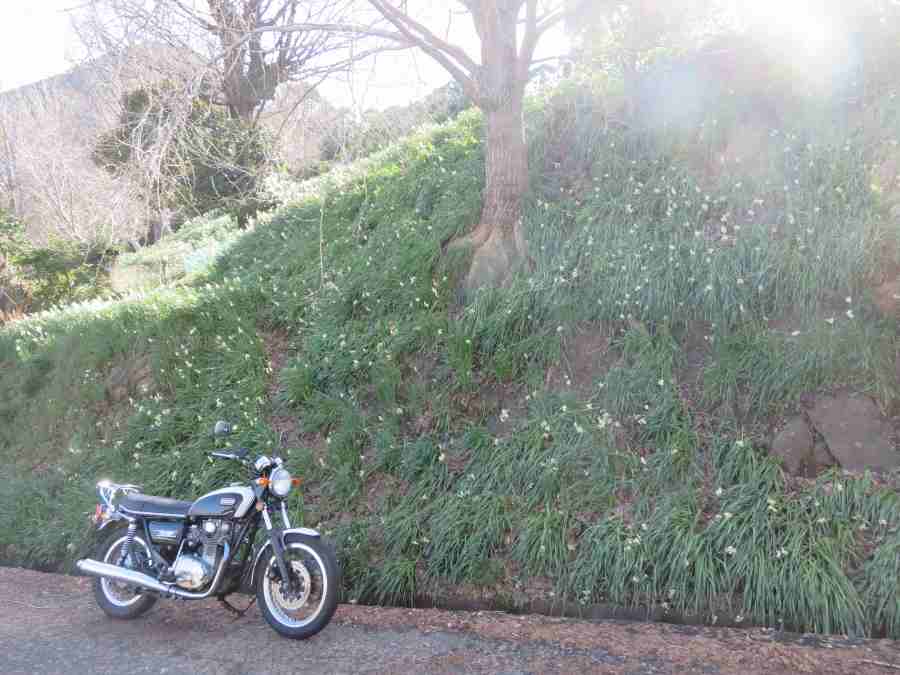 f:id:mannenNA:20210218201425j:plain