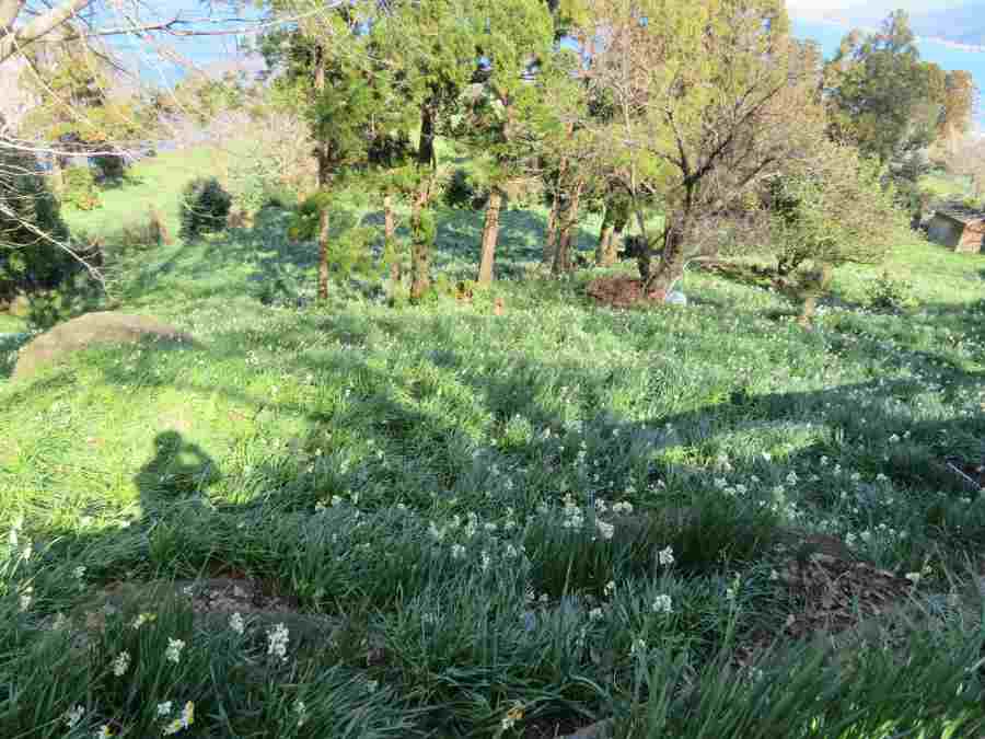 f:id:mannenNA:20210218201446j:plain