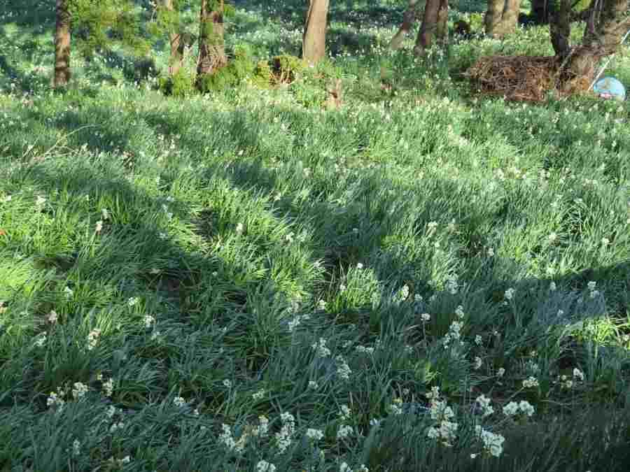 f:id:mannenNA:20210218201505j:plain