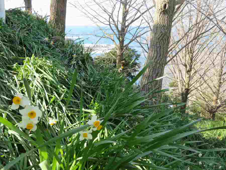 f:id:mannenNA:20210218201525j:plain