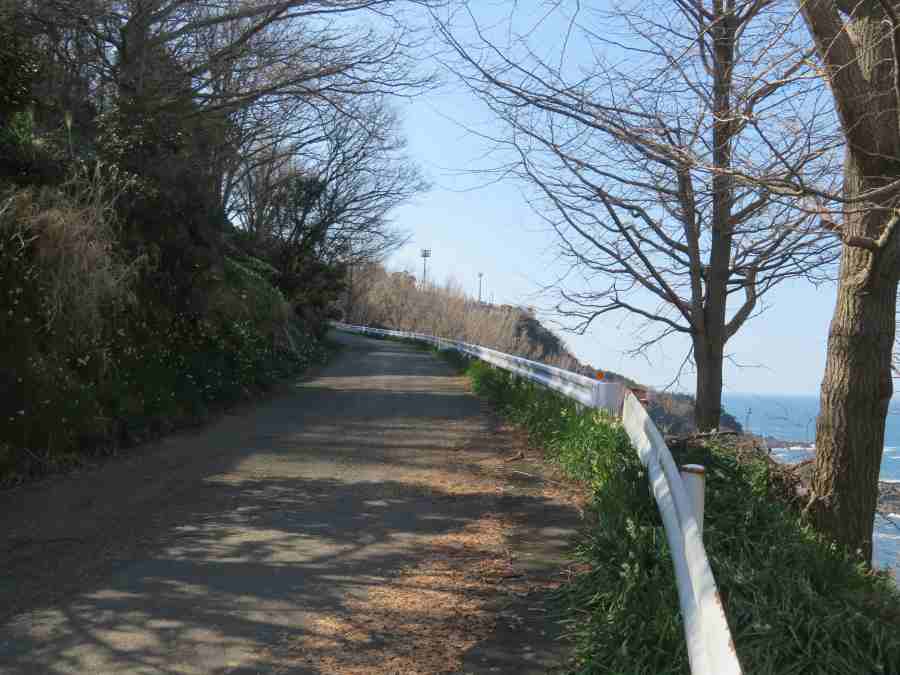 f:id:mannenNA:20210218201548j:plain