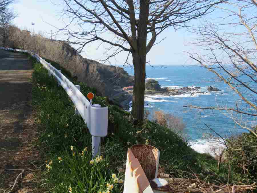 f:id:mannenNA:20210218201608j:plain