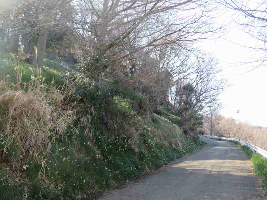 f:id:mannenNA:20210218201626j:plain