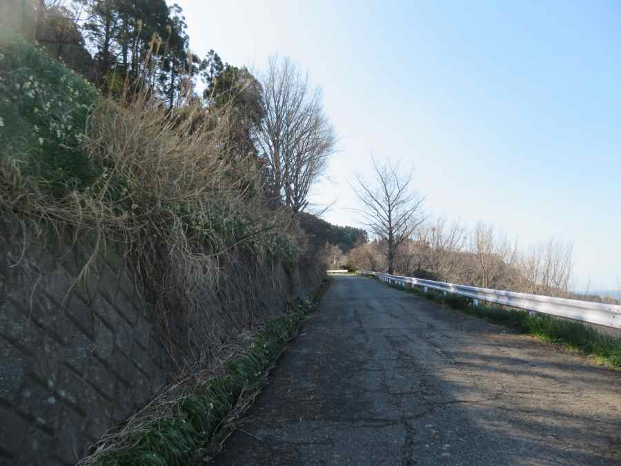 f:id:mannenNA:20210218201645j:plain