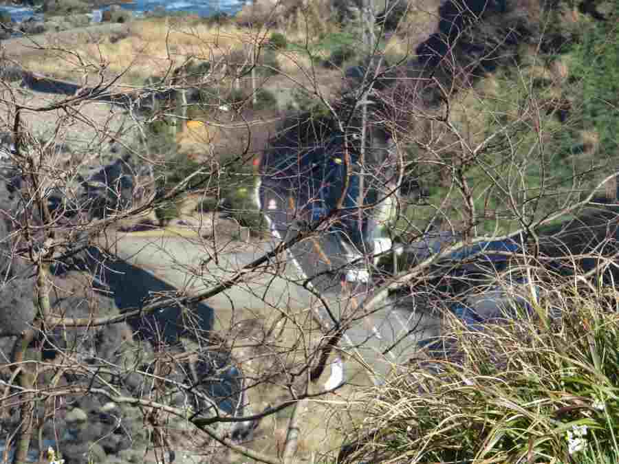 f:id:mannenNA:20210218201723j:plain