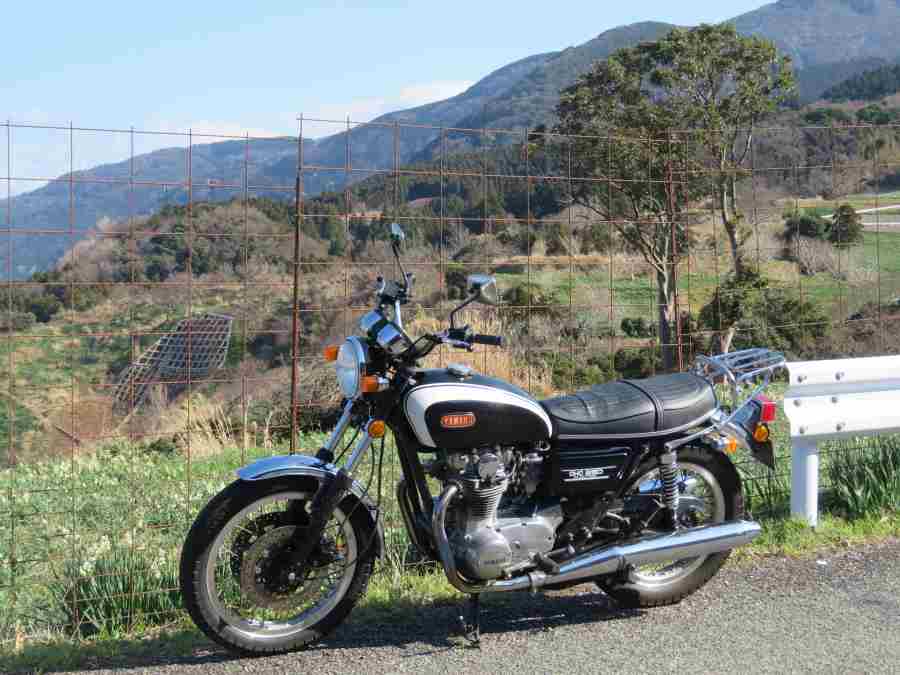 f:id:mannenNA:20210218201752j:plain