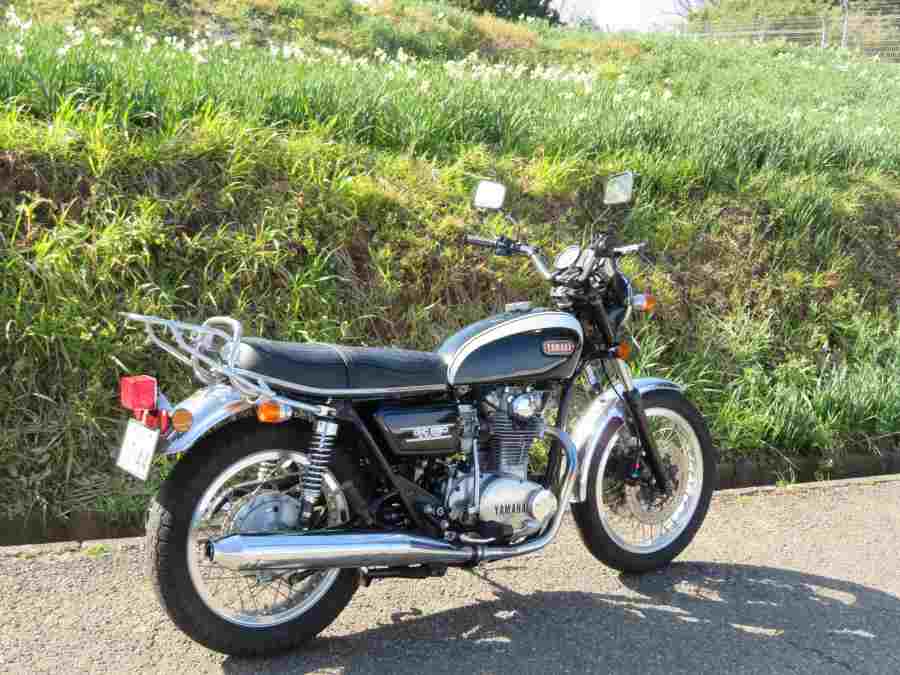 f:id:mannenNA:20210218201830j:plain