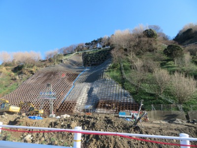 f:id:mannenNA:20210218201911j:plain