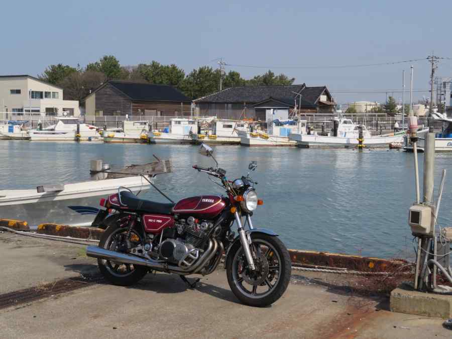 f:id:mannenNA:20210221212321j:plain