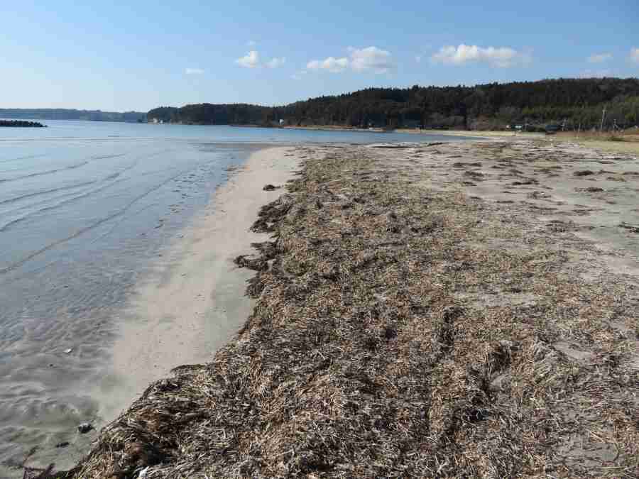 f:id:mannenNA:20210224190722j:plain