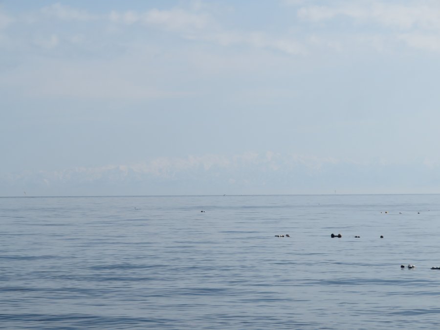 f:id:mannenNA:20210224191209j:plain