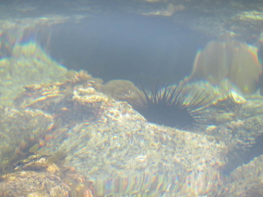 f:id:mannenNA:20210224191928j:plain