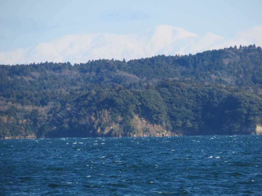 f:id:mannenNA:20210228200003j:plain