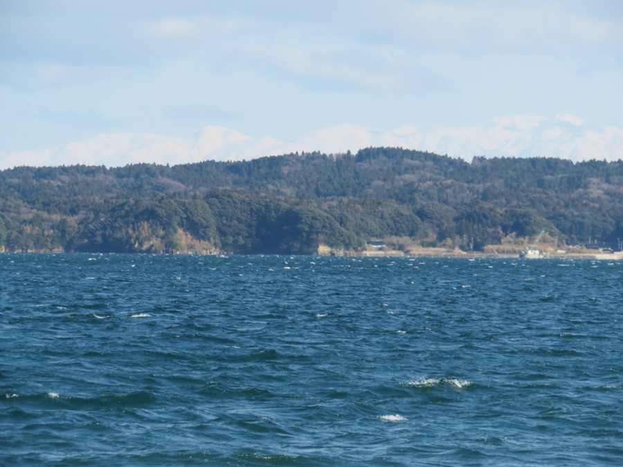 f:id:mannenNA:20210228200100j:plain