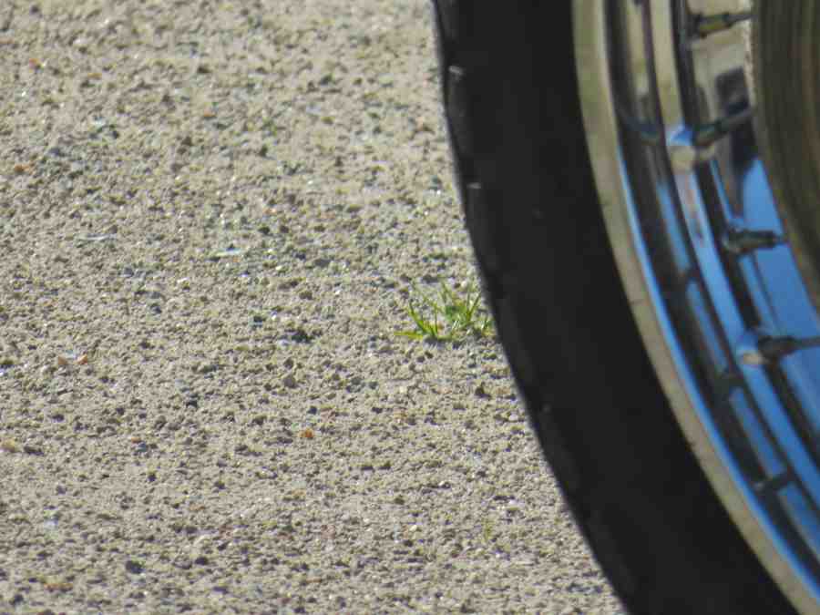 f:id:mannenNA:20210228200430j:plain