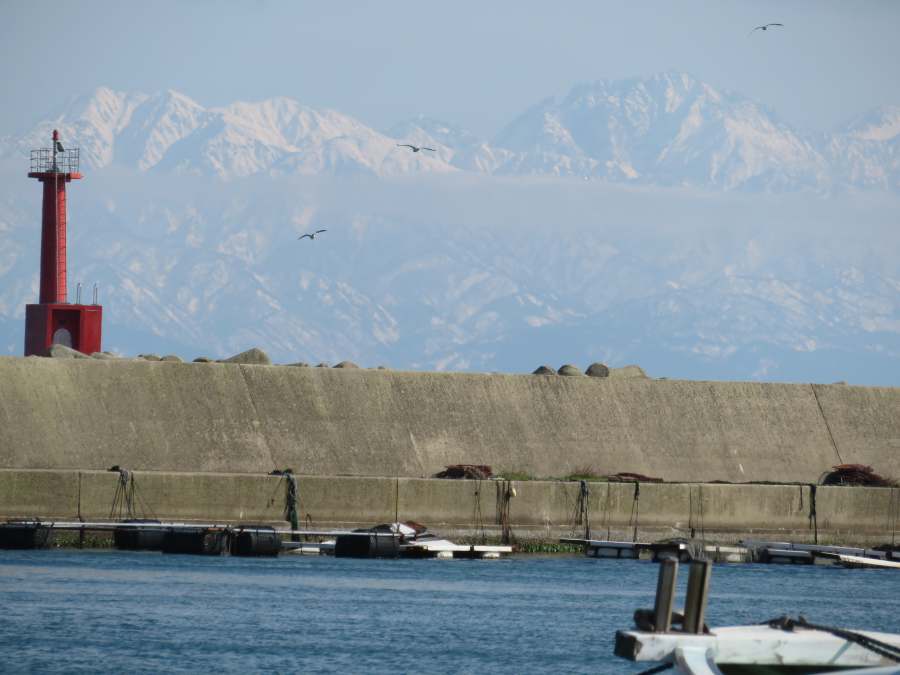 f:id:mannenNA:20210303184950j:plain